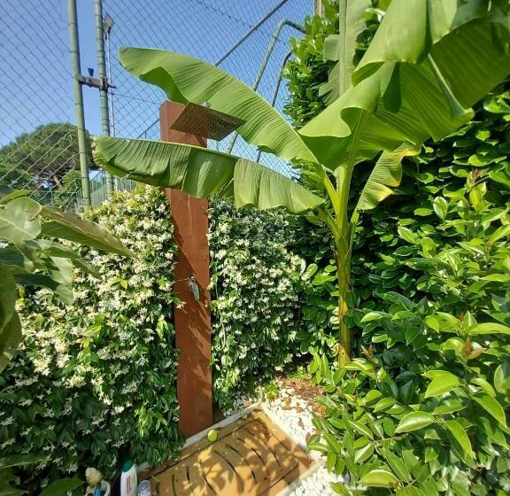 סטודיו סטנדרטי נוף לגינה, B&b Monte Tavolino