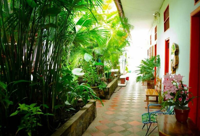 غرفة قياسية رباعية, Abacoa