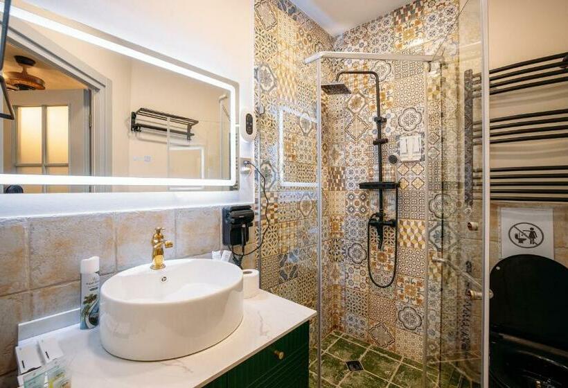 اتاق استاندارد یک نفره, Apart Hotel Console