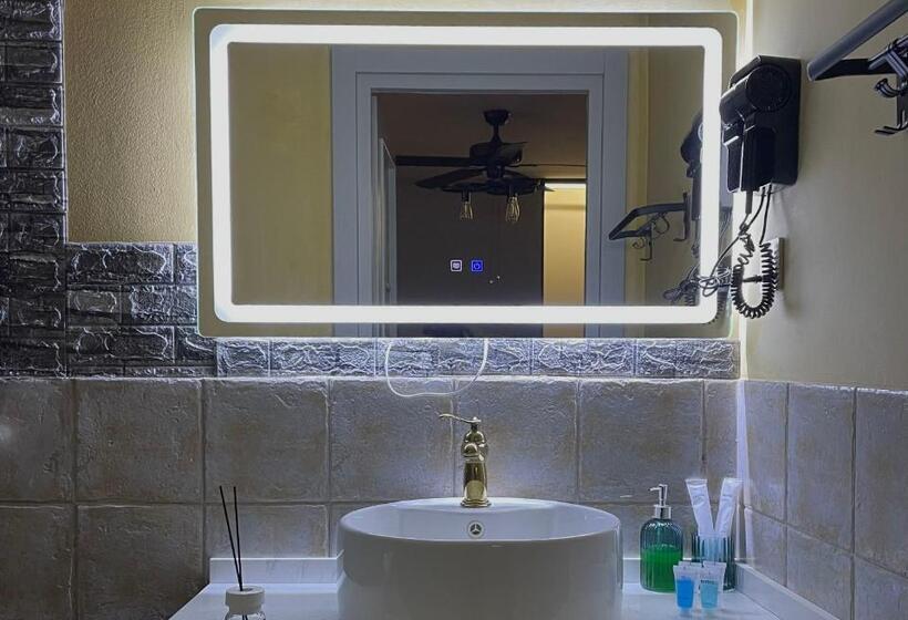 اتاق استاندارد یک نفره, Apart Hotel Console