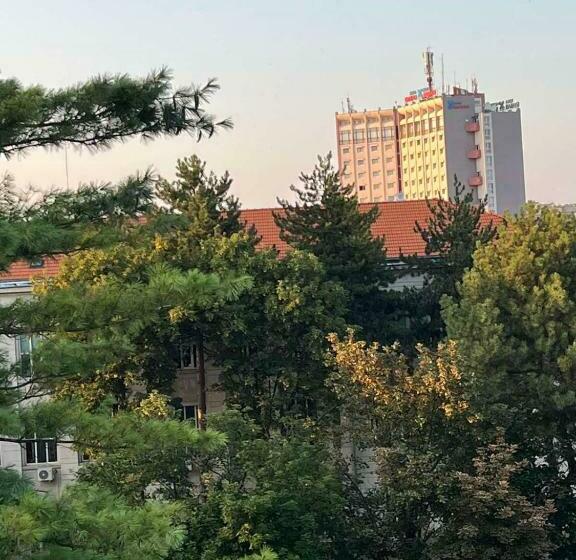 带大床的标准工作室, Floral Boutique