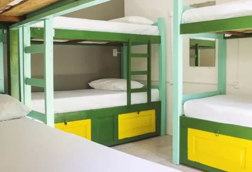 ルームシェアのワンベッド, Che Lagarto Hostel Morro De Sao Paulo