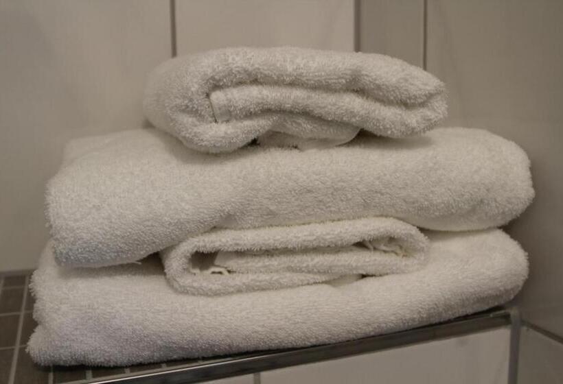 اتاق استاندارد, Goethe Conference Hotel By Trip Inn