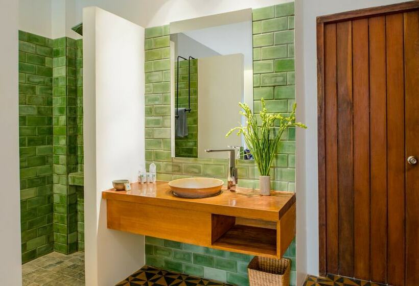 اتاق لوکس, 1920