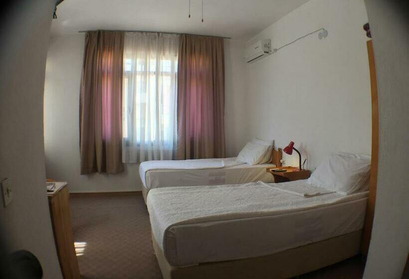 Номер Стандарт, Efes