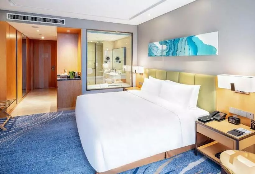 キングサイズベッドのスタンダードルーム, Holiday Inn Neijiang Riverside, An Ihg
