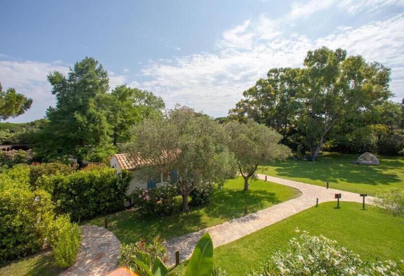جناح, La Bastide Des Salins