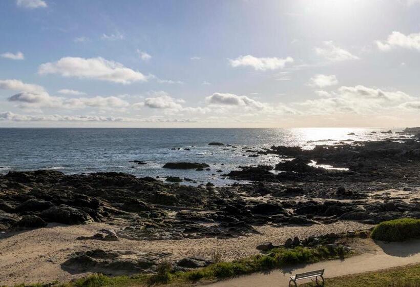 جناح مطلّ علي البحر, Les Vikings