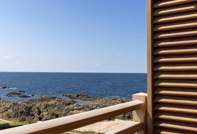 جناح مطلّ علي البحر, Les Vikings