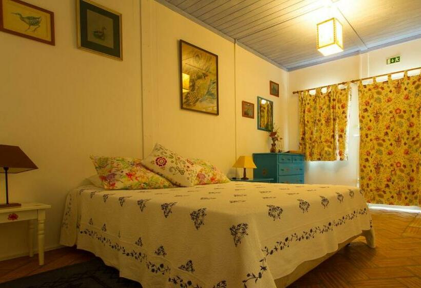 Номер Стандарт, Paradise In Portugal