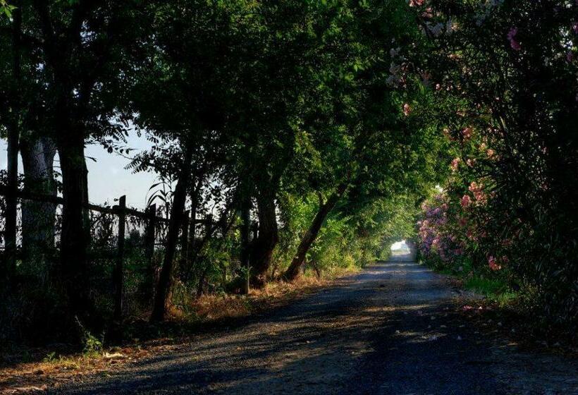 آپارتمان 1 خوابه همکف, Agriturismo Bio Femminella