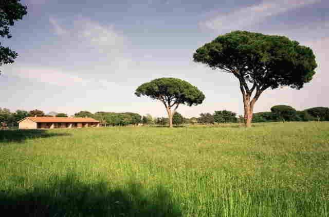 آپارتمان 1 خوابه همکف, Agriturismo Bio Femminella