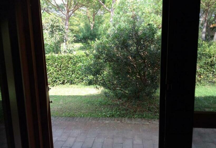 آپارتمان 1 خوابه همکف, Agriturismo Bio Femminella