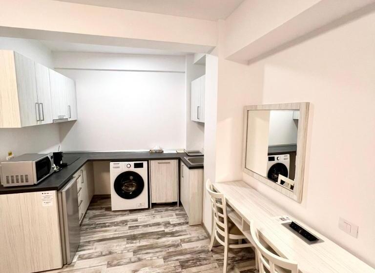 豪华工作室, Casa Micle