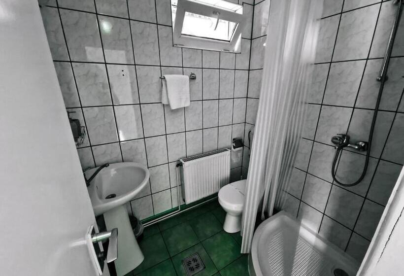 חדר סטנדרט יחיד עם מרפסת, Complex Caprioara Toplita