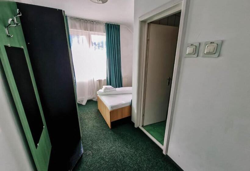 חדר סטנדרט יחיד עם מרפסת, Complex Caprioara Toplita