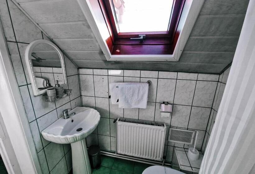 חדר סטנדרט עם מרפסת, Complex Caprioara Toplita