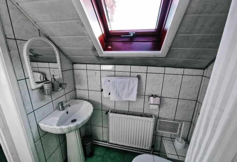 Standard-huone Parveke, Complex Caprioara Toplita