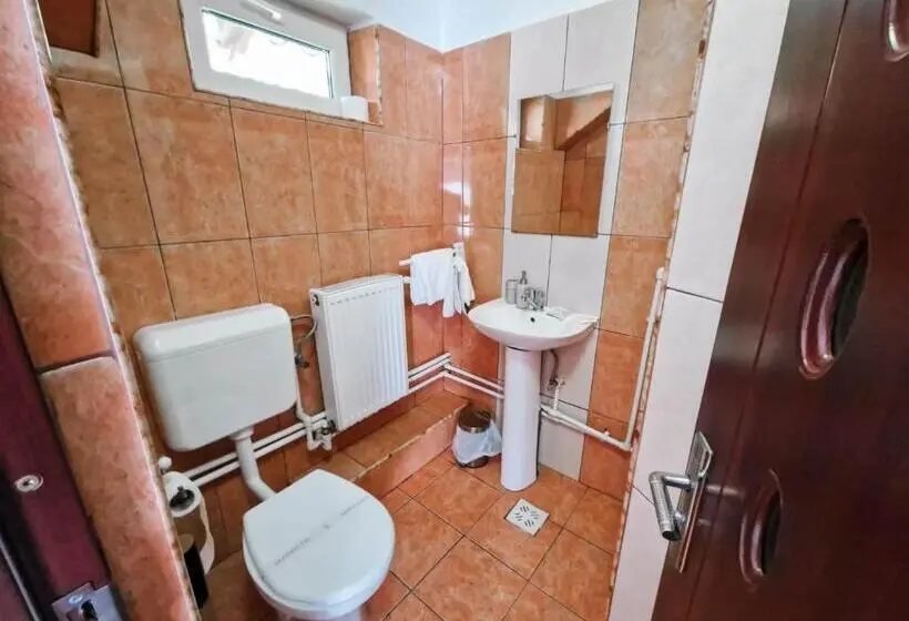 Standard Kolmen Hengen Huone Parveke, Complex Caprioara Toplita