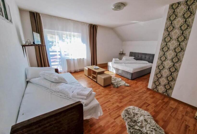 חדר סטנדרט לשלושה עם מרפסת, Complex Caprioara Toplita