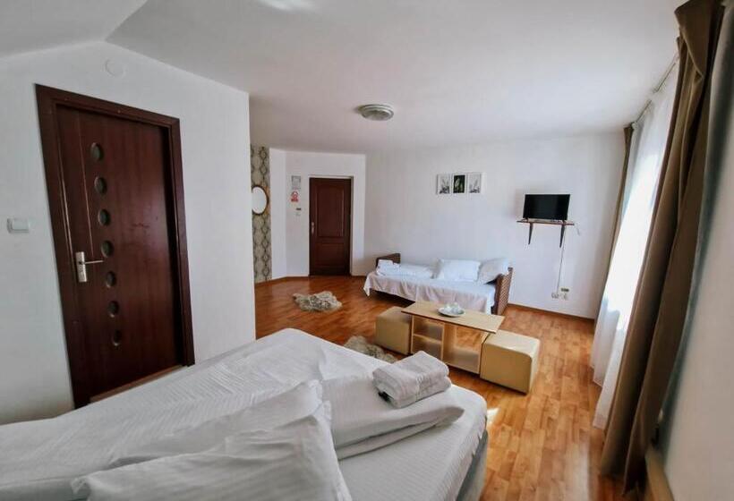 חדר סטנדרט לשלושה עם מרפסת, Complex Caprioara Toplita