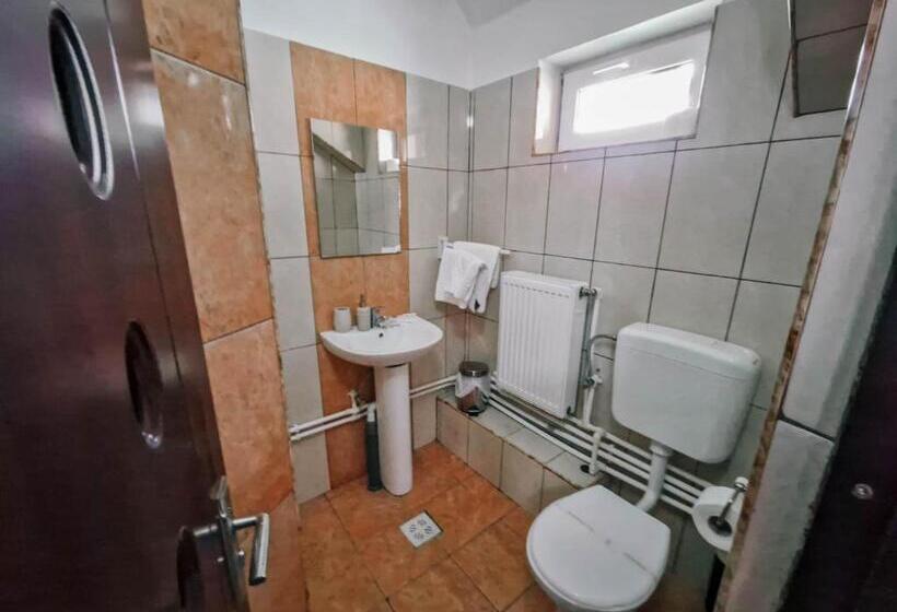 חדר סטנדרט לשלושה, Complex Caprioara Toplita