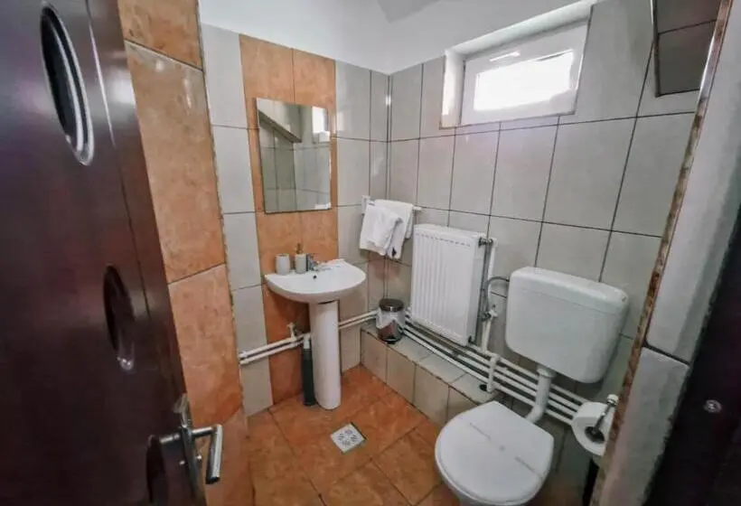 Standard Kolmen Hengen Huone, Complex Caprioara Toplita