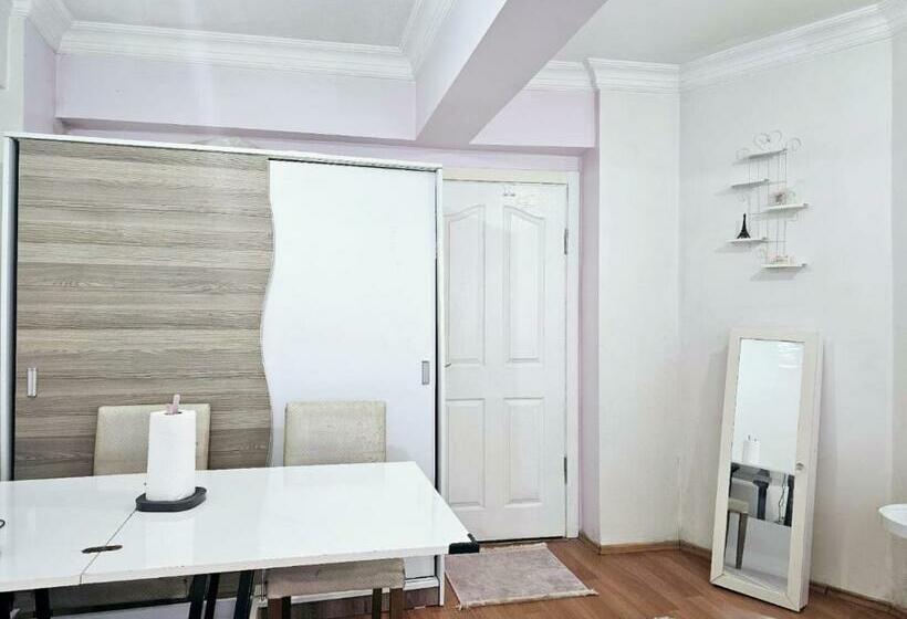 اتاق استاندارد, Clover Flower House Only For Females Zeyti̇nburnu