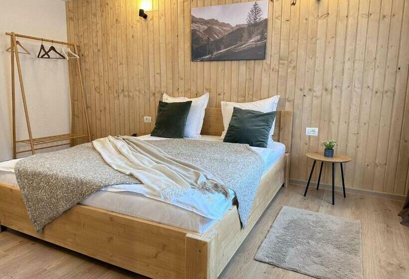 マウンテンビュースタンダードルーム, Pensiunea Rodica