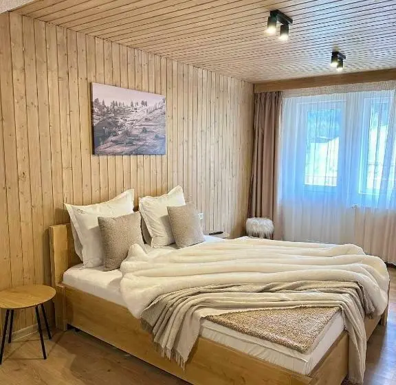 اتاق استاندارد سه نفره, Pensiunea Rodica