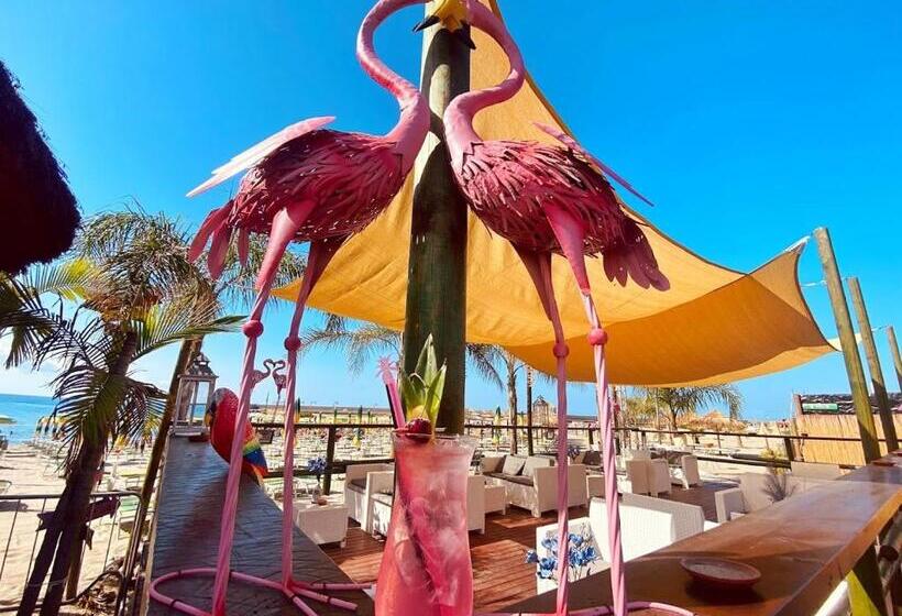 اتاق استاندارد با بالکن, Flamingo Suites