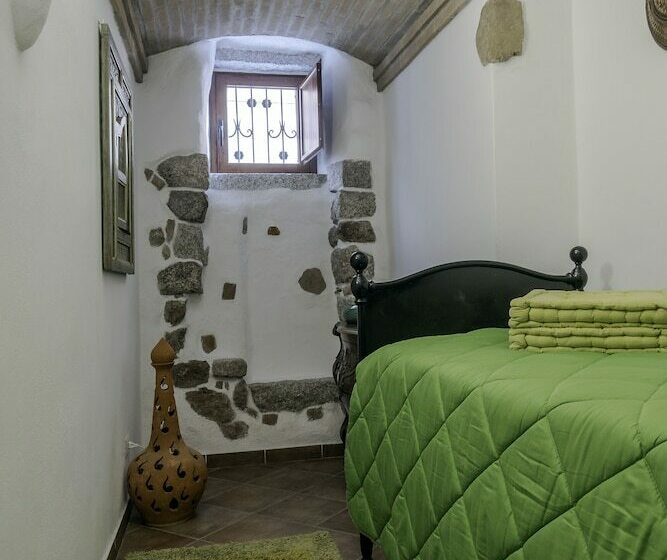 اتاق خانوادگی, Amsicora 8