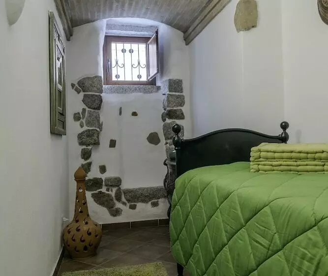 اتاق خانوادگی, Amsicora 8