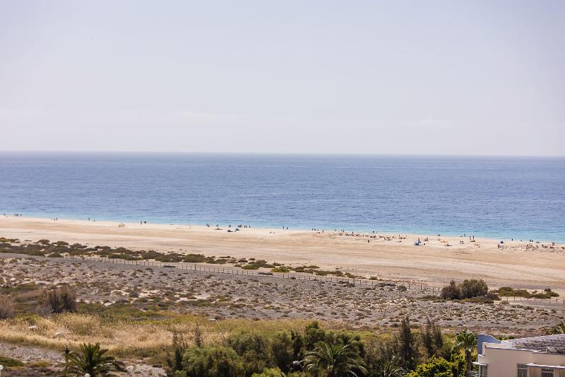 اتاق لوکس یک تخته, Bengal Canary Park