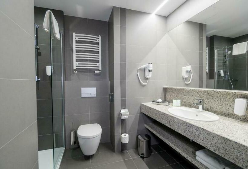 Номер Стандарт, Holiday Inn Dąbrowa Górnicza Katowice, An Ihg
