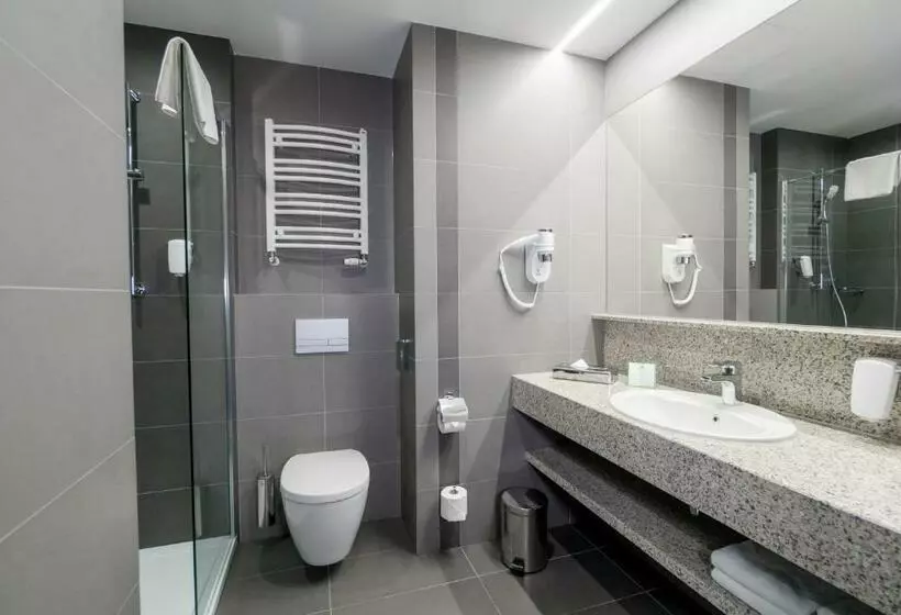スタンダードルーム, Holiday Inn Dąbrowa Górnicza Katowice, An Ihg