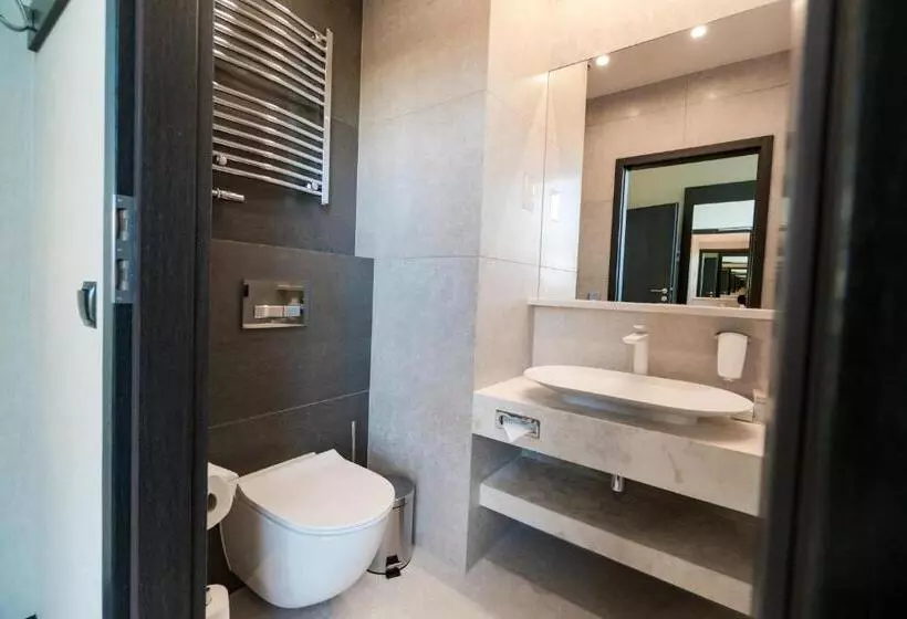 キングサイズベッドのエクゼクティブ, Holiday Inn Dąbrowa Górnicza Katowice, An Ihg