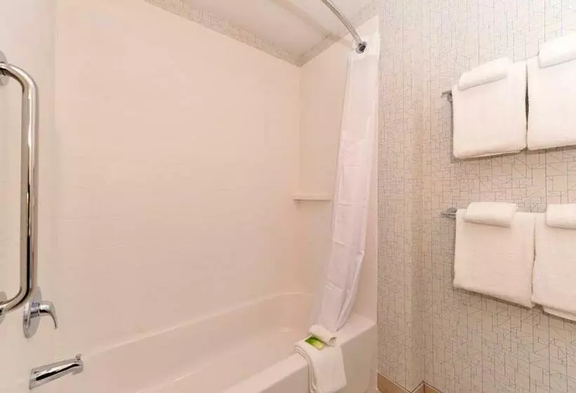 スタンダードルーム, Holiday Inn Express & Suites Trinity, An Ihg