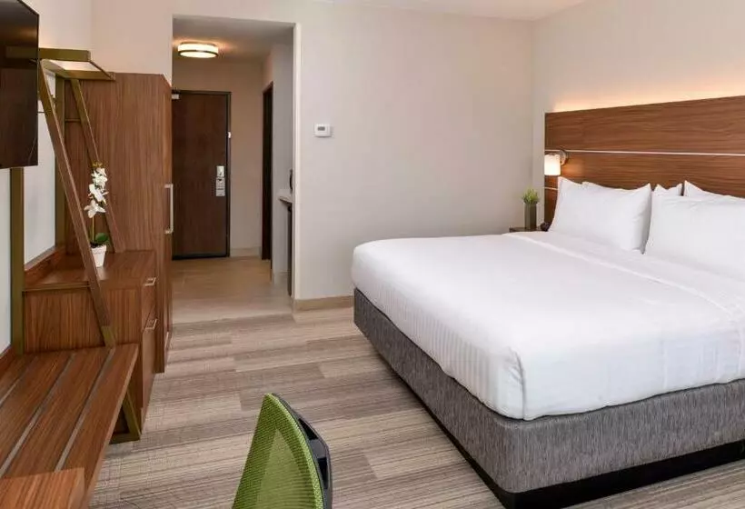 キングサイズベッドのスタンダードルーム, Holiday Inn Express & Suites Trinity, An Ihg