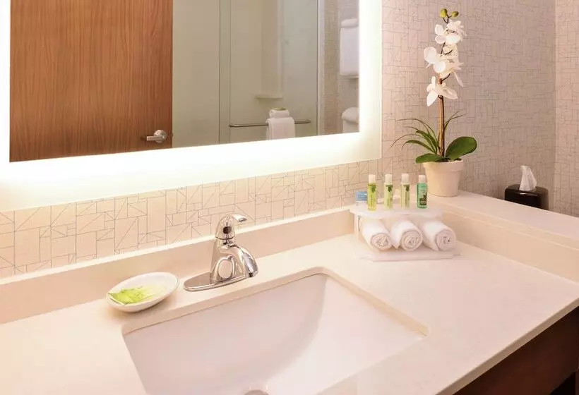 ２ダブルベッドのスタンダードルーム, Holiday Inn Express & Suites Trinity, An Ihg