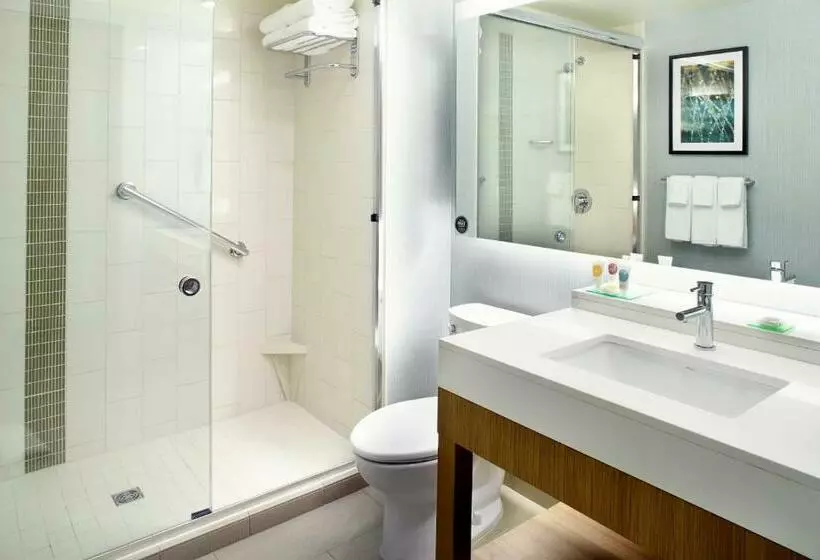 キングサイズベッドのスタンダードルーム, Hyatt Place Cleveland/lyndhurst/legacy Village