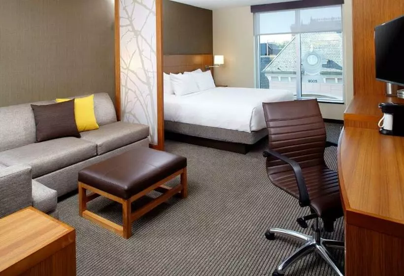キングサイズベッドのスタンダードルーム, Hyatt Place Cleveland/lyndhurst/legacy Village