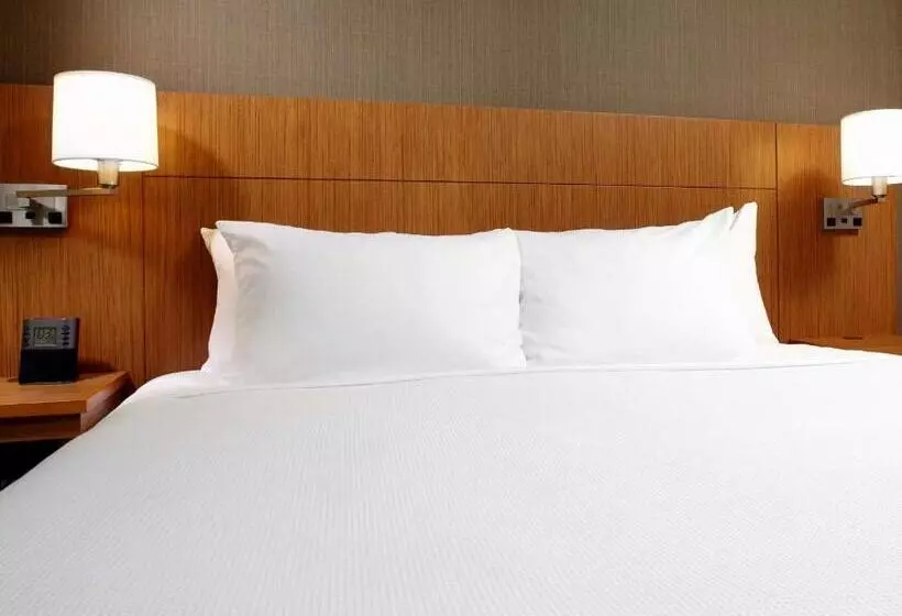 身障者適用キングサイズベッドルーム, Hyatt Place Cleveland/lyndhurst/legacy Village