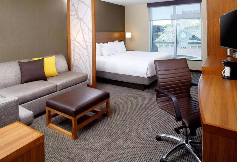 身障者適用キングサイズベッドルーム, Hyatt Place Cleveland/lyndhurst/legacy Village