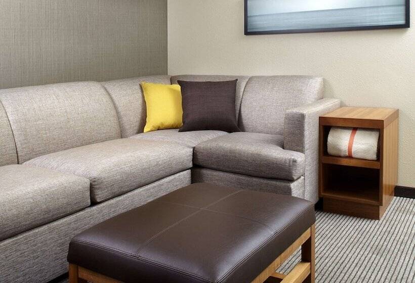 Номер Стандарт Адаптированный для Инвалидов, Hyatt Place Cleveland/lyndhurst/legacy Village