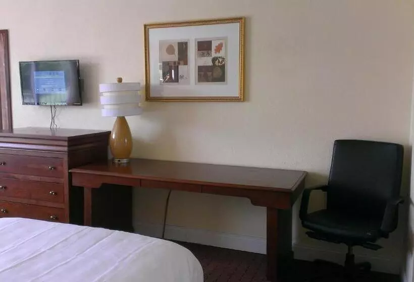 デラックスルーム, Motel 6 Hammond, La – I 12 – I 55