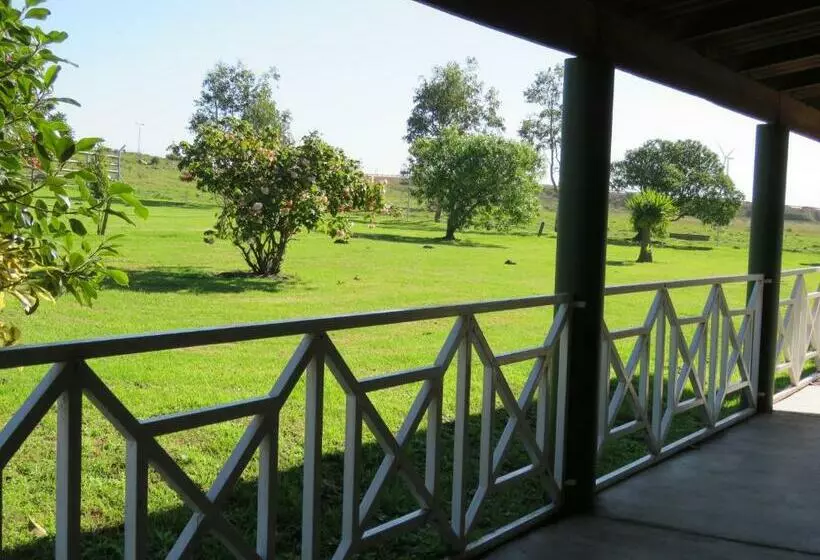 Standard-huone, Mentors Country Estate