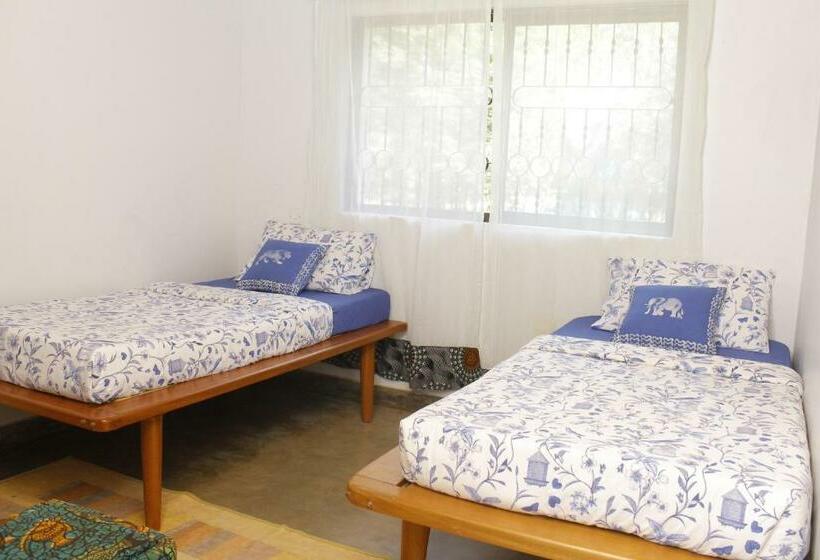 חדר סטנדרט, Walk With Us Africa