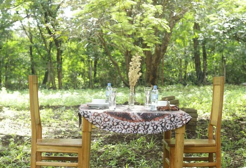 חדר סטנדרט, Walk With Us Africa