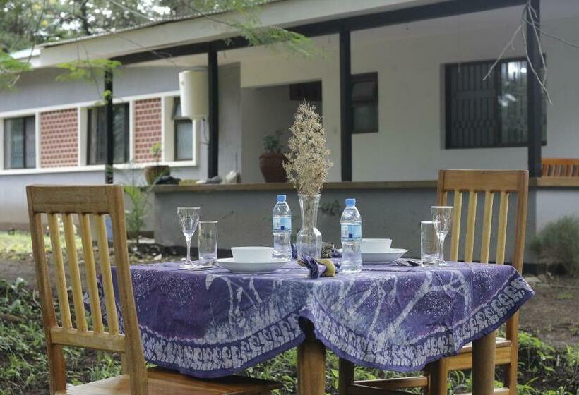 חדר סטנדרט, Walk With Us Africa